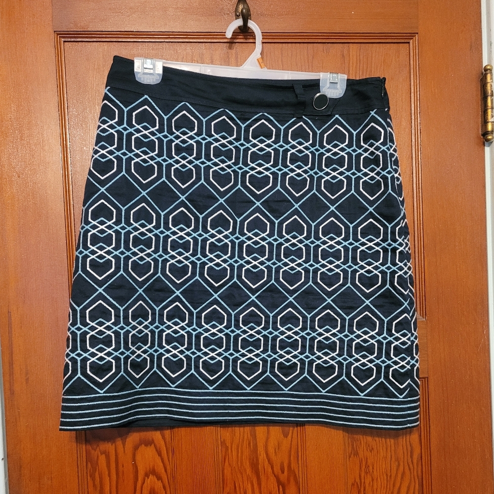 ANN TAYLOR skirt